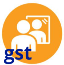 Mirror GST